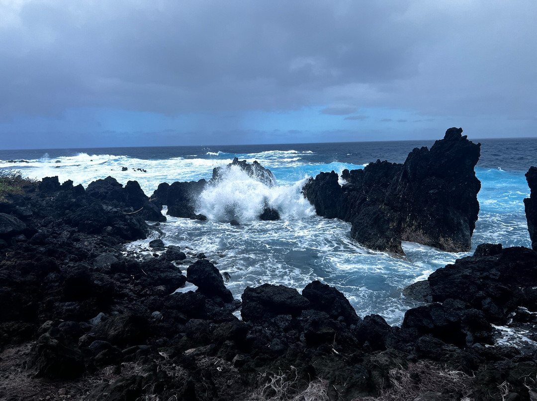 Laupahoehoe Beach Park-劳帕霍也霍也必去景点