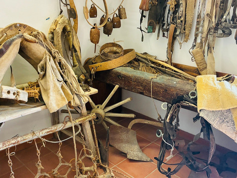 Monastero di Santa Chiara-Ferrandina必去景点