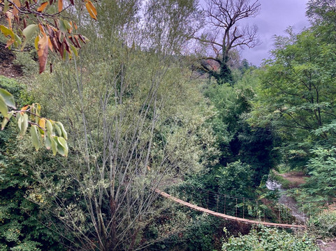 National Botanical Garden of Georgia-第比利斯必去景点