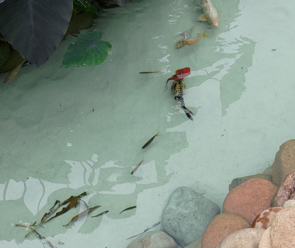 Rancho Alegre-Joinville必去景点