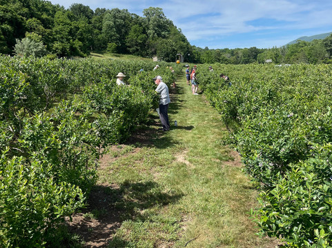 Hickory Hill Farm-Keezletown必去景点