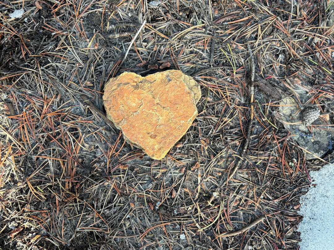 Uplift Adventures-科尔曼必去景点