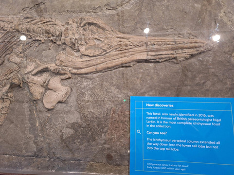 The Shoe Museum-Street必去景点