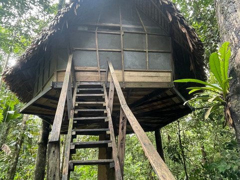 Amazon Maguta Jungle Lodge-莱蒂西亚必去景点