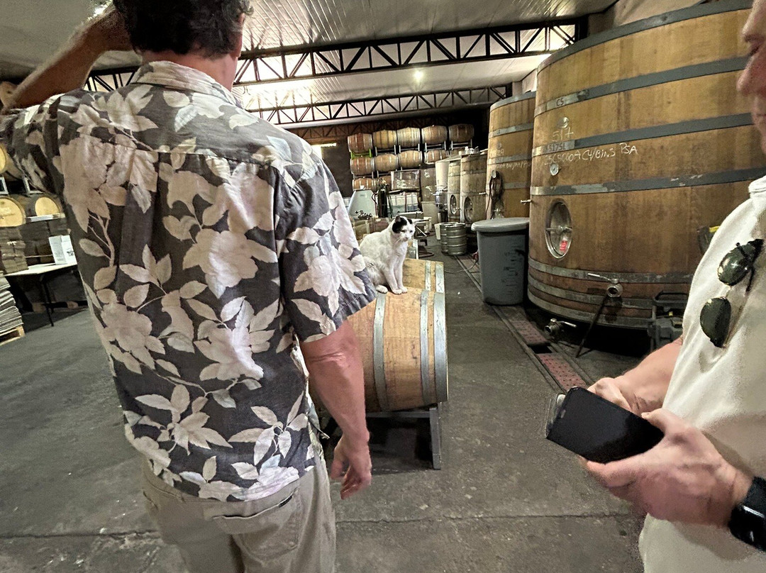 Flaherty Wines-San Felipe必去景点