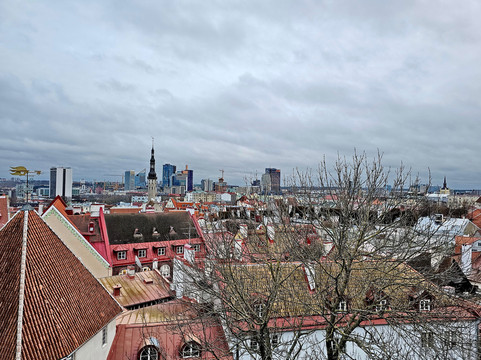 Viewing Point Kohtuotsa-塔林必去景点