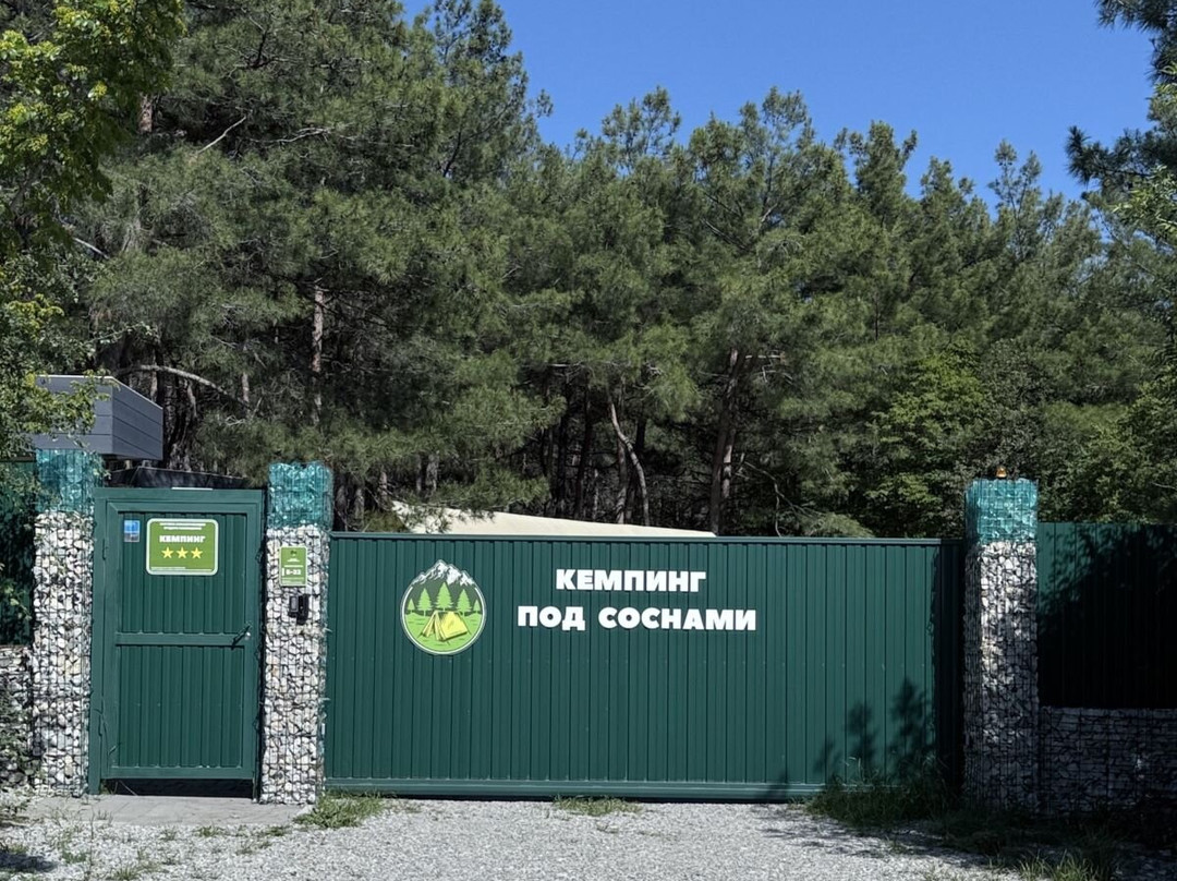 Pod Sosnami Camping
