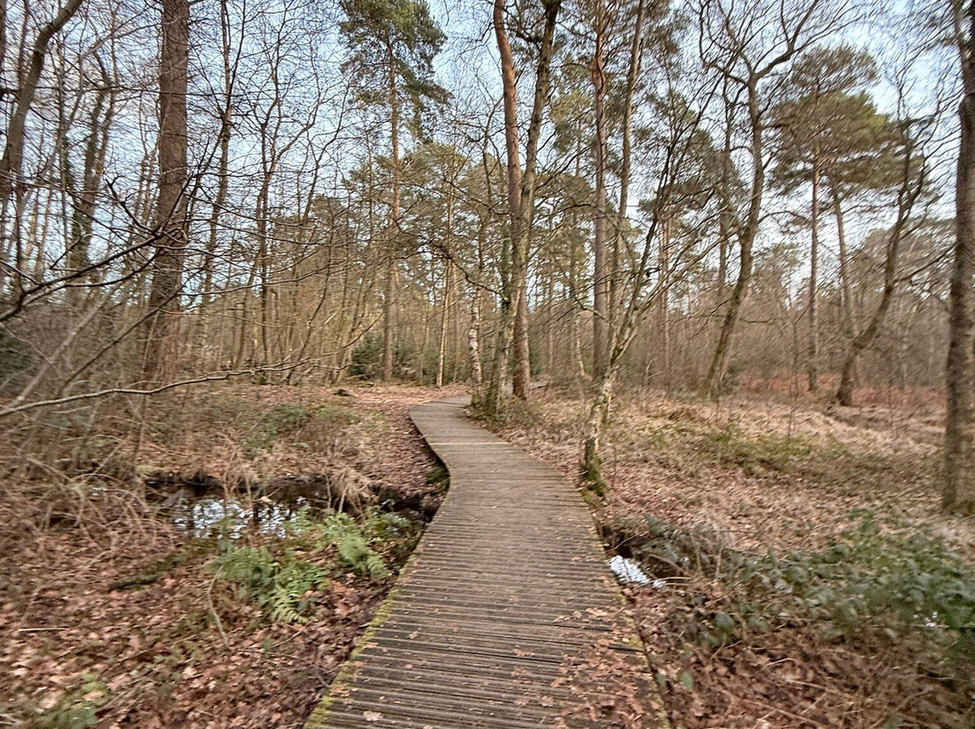 Englemere Pond-Ascot必去景点