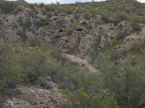 Arizona Horse Company-Wickenburg必去景点