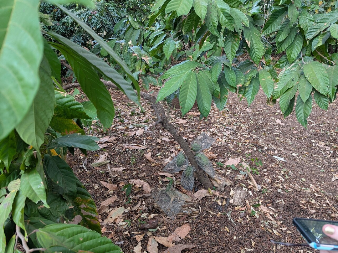 Café Tío Leo-利比里亚必去景点