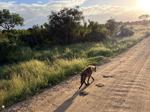 Discover Kruger Safaris-库马堤港必去景点