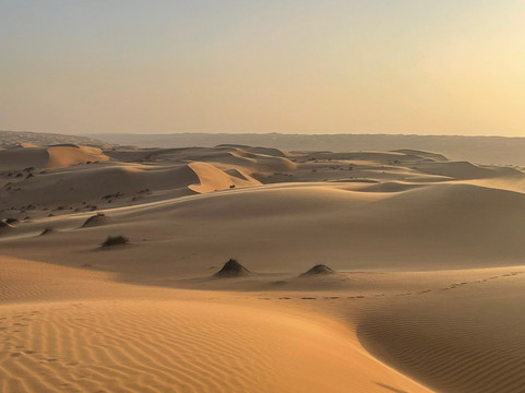 Desert Camels Adventure Tours-尼日瓦必去景点