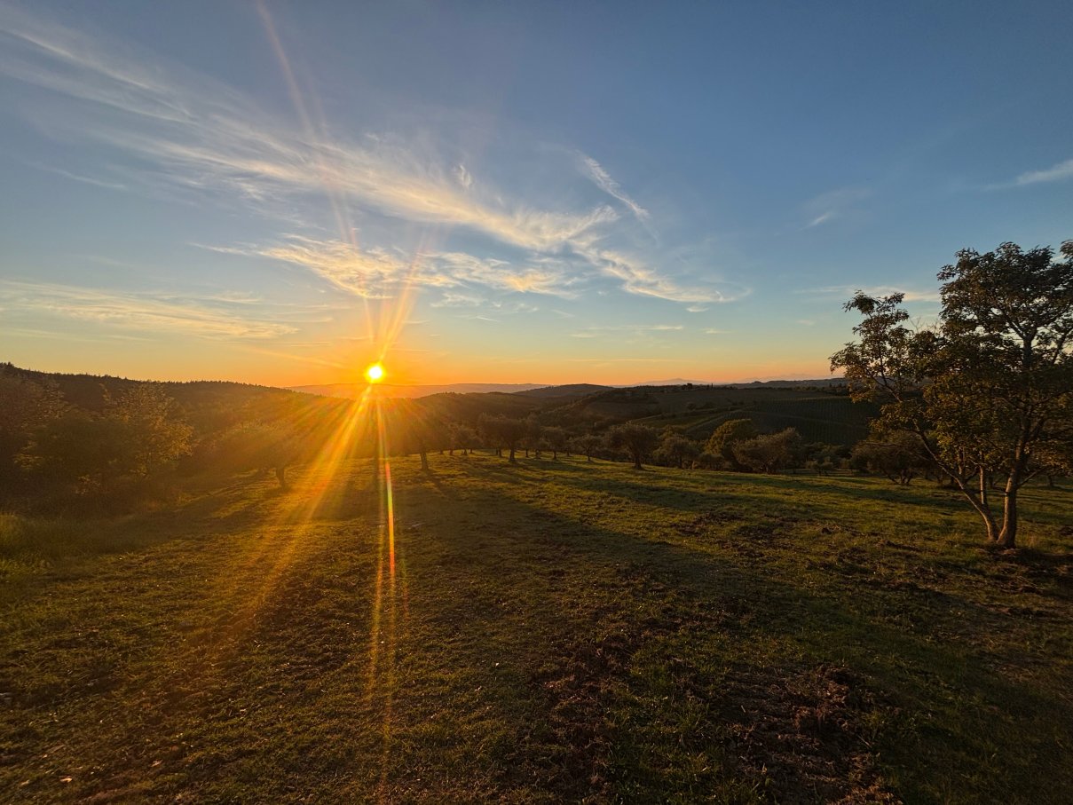 Podere Patrignone-官方