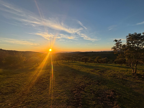 Podere Patrignone主图