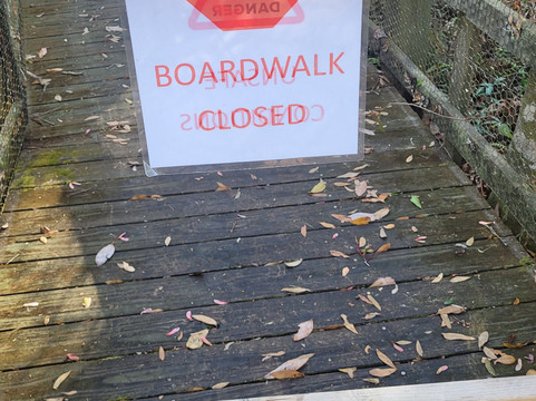 Upper Pithlachascotee River Preserve-Spring Hill必去景点