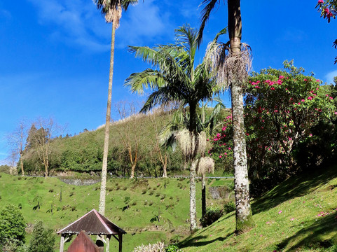 Parque Natural da Ribeira dos Caldeirões-Achada必去景点