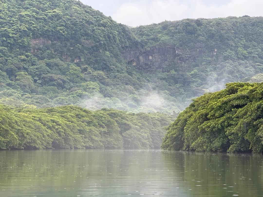 Iriomote Island Kayaks Kazaguruma-竹富町西表岛必去景点