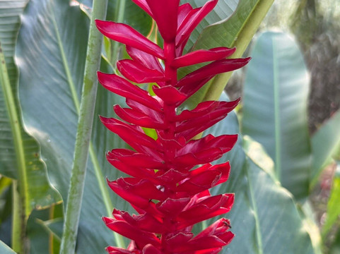 Jardin Botanique de Valombreuse-Petit-Bourg必去景点