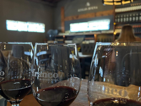 Bodega Atilio Avena-门多萨必去景点