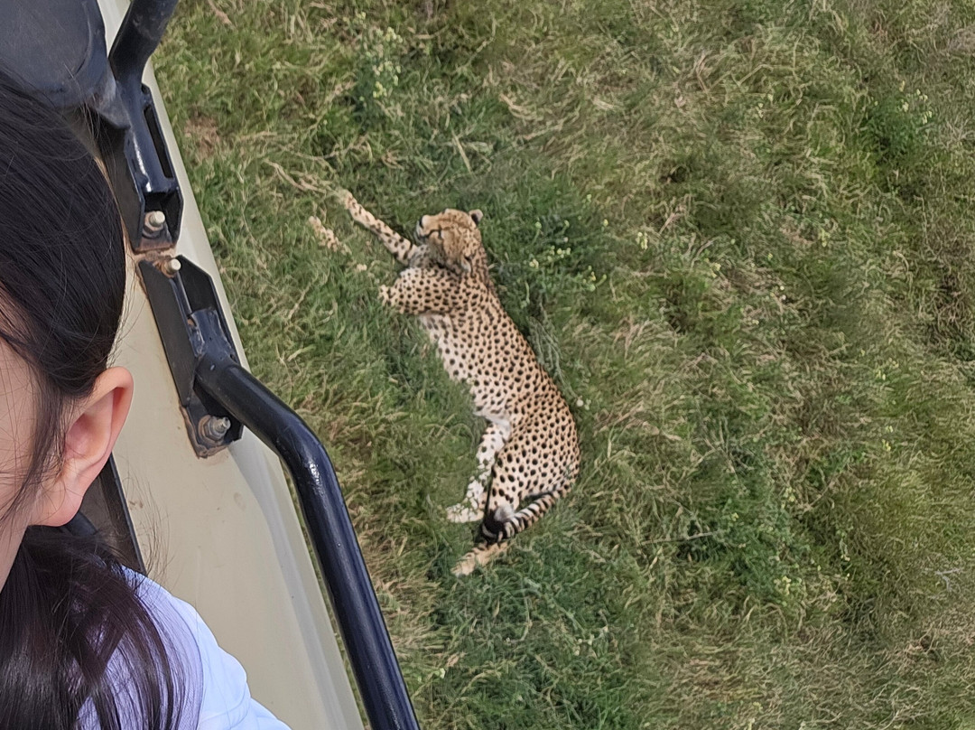 Earthlife Expeditions-阿鲁沙必去景点