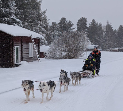 Openlappland-Amsele必去景点