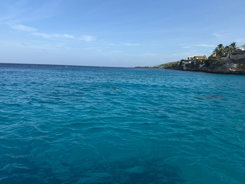 GO WEST Diving-Sabana Westpunt必去景点