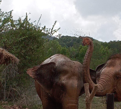 Koh Yao Elephant Beach-阁耀亚伊岛必去景点