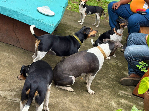 Fazenda Yrere-Ilheus必去景点