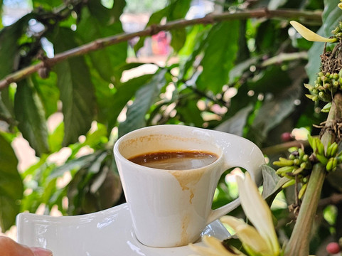 Tukulu Eco Village-Buikwe必去景点