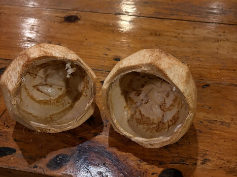 Pemba Island-奔巴岛必去景点