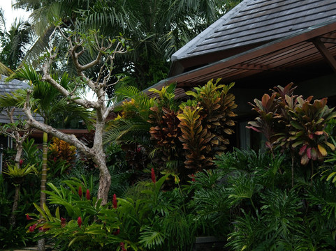 伊纳拉阿拉斯哈鲁姆酒店主图