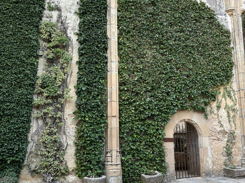 Historic Centre of Trujillo-特鲁希略必去景点
