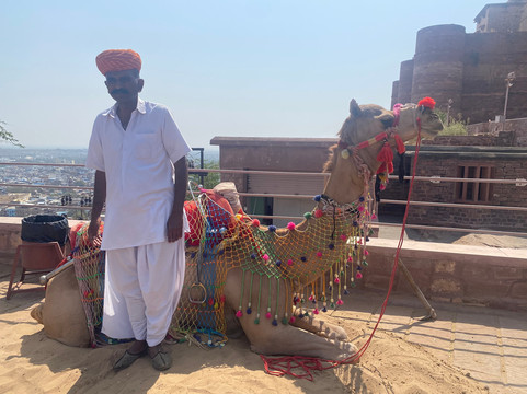 Raju's Private Tours-斋蒲尔必去景点