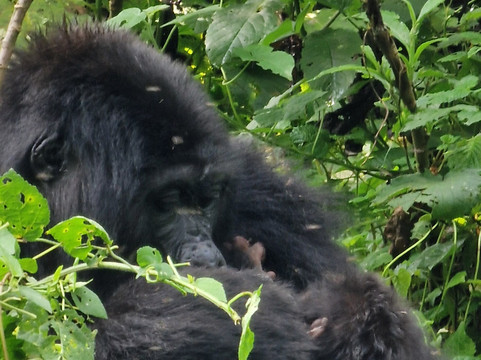 Africa Reveal Safaris-Namugongo必去景点