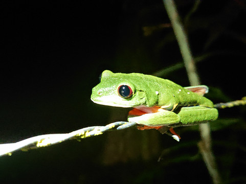 Tarantulas Way-卡维塔必去景点