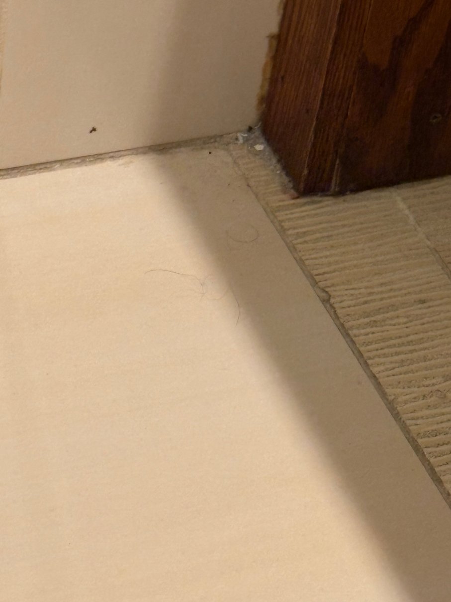 西港乡村旅舍酒店-官方