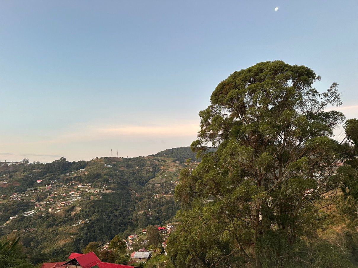 Posada Don Elicio-官方