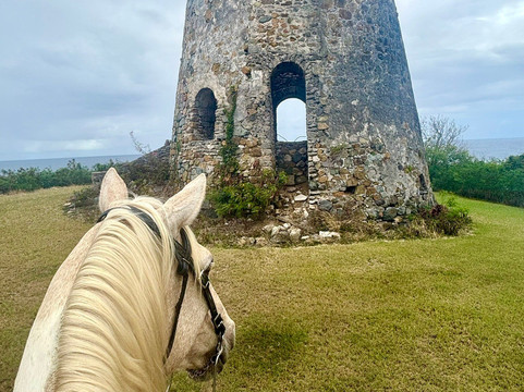 Equus Rides Horseback Riding St. Croix-Frederiksted必去景点