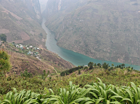 哈革良Yolo房屋和环游主图