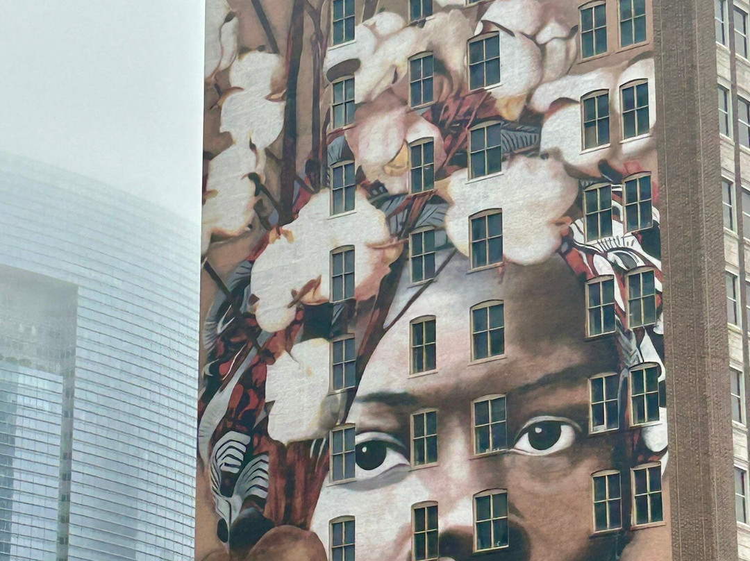 Segway Tours of Houston-休斯顿必去景点