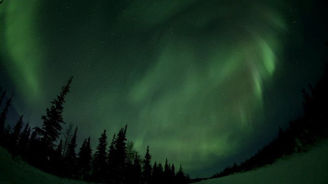 Discover Churchill Tours-丘吉尔必去景点