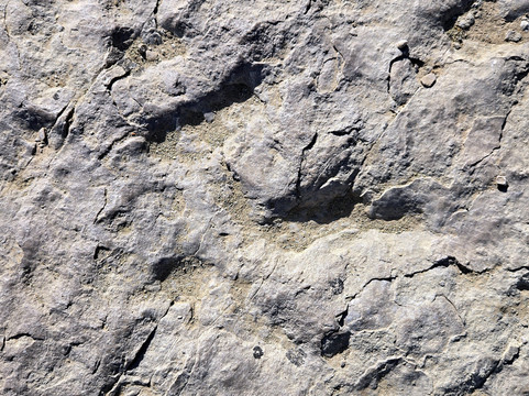 Red Gulch Dinosaur Tracksite-Greybull必去景点