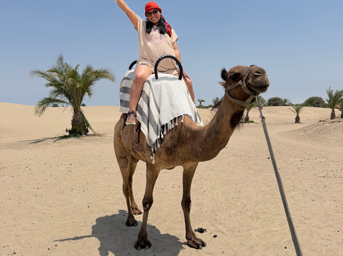 Dromedarius-伊卡必去景点