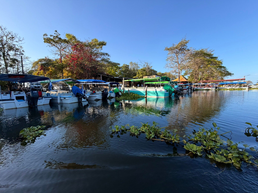 Cesar Adventure Tour-Playa Matapalo必去景点