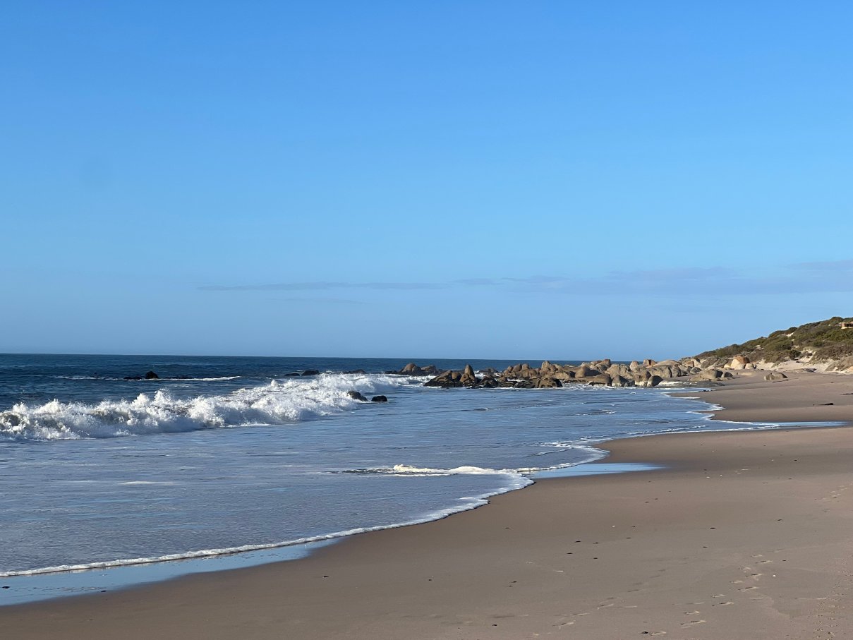 纯粹海滩酒店-官方