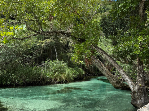 Joël and Ludi Excursions-Las Galeras必去景点