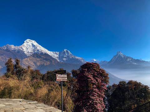 Backpacker Treks and Expedition-加德满都必去景点
