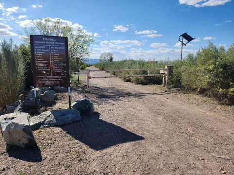 Havasu National Wildlife Refuge-尼德尔斯必去景点