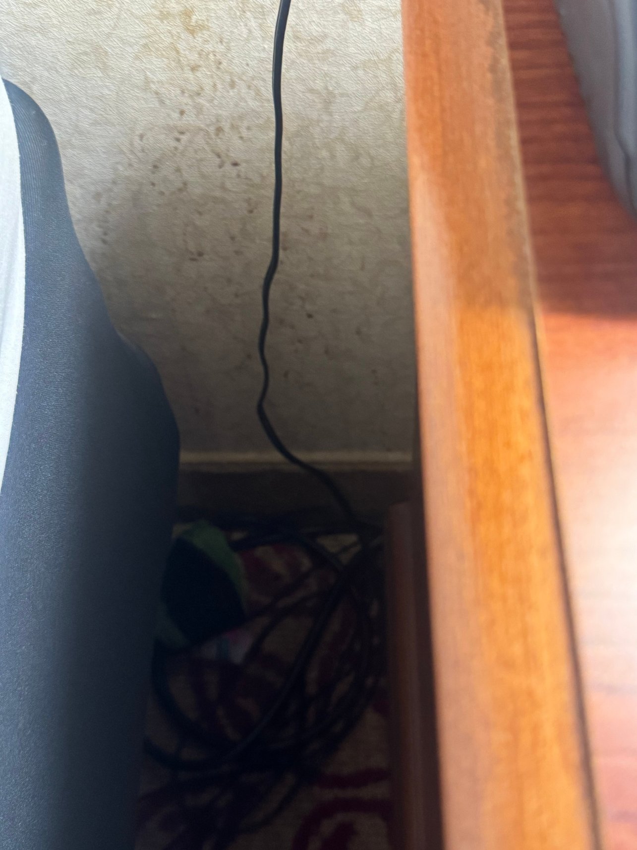 卡尔顿小屋-官方