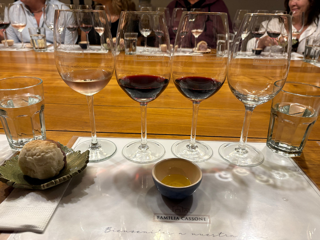 Be Wine Tours-门多萨必去景点